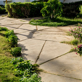 AdobeStock_413802886 (2).jpeg