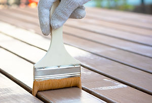 AdobeStock_350054241.jpeg