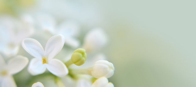 AdobeStock_315212848.jpeg