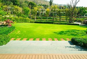 AdobeStock_210040965.jpeg