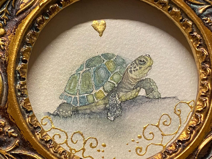 tortoise looking beautiful watercolour painting. mini minikin