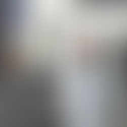 Estonska vlada upravlja državom kao sa IT kompanijom