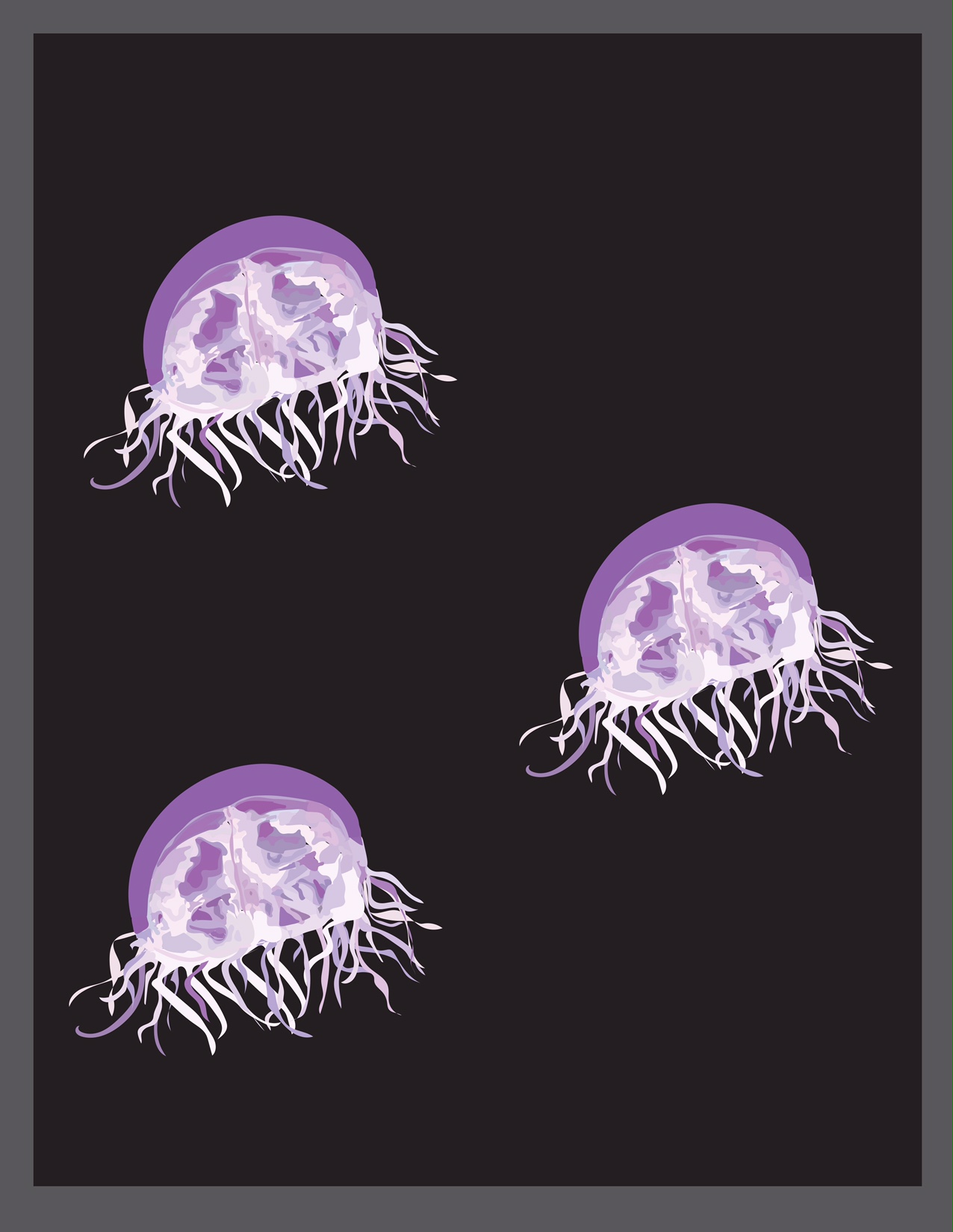 Obelia Medusa