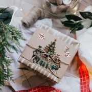 Μικρογραφία: Middy Transfer -Whimsical Holiday Dreams