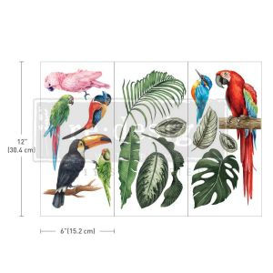 Redesign Transfer – Tropical Birds