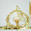 Thumbnail: Citra Crown