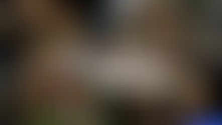 ศาลาสไตล์ญี่ปุ่น