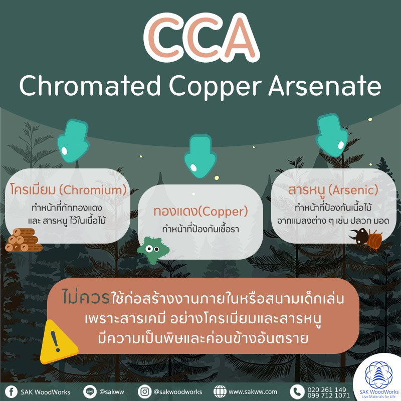 ไม้อัดน้ำยา,กันปลวก,ไม้สนอัดน้ำยา,CCA,น้ำยากันปลวก