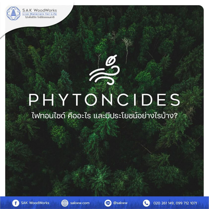 ไฟทอนไซด์(Phytoncide) คืออะไร และมีประโยชน์อย่างไรบ้าง