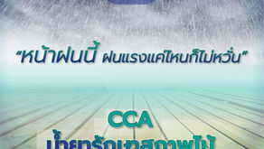 ทำไมไม้สนอัดน้ำยา CCA ถึงทนทานได้มากแม้โดนแดดโดนฝนก็ไม่กลัว?