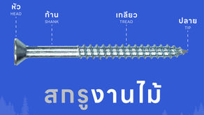 สกรูสำหรับงานไม้ มีแบบไหนบ้างไปดูกัน