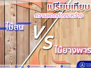 ไม้สน VS ไม้ยางพารา