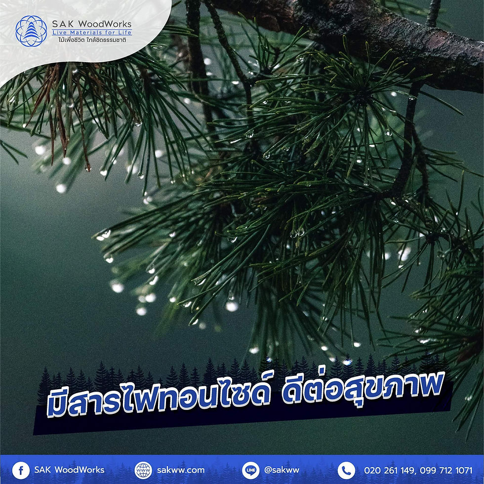 ไม้สน,ประตู,ประตูไม้สน,ประตูไม้,ตกแต่งบ้าน