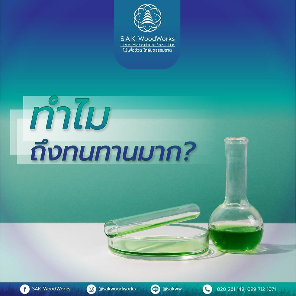 cca,ไม้สนอัดน้ำยา,ไม้สน,ไม้สนกันปลวก,ไม้สนทนแดด