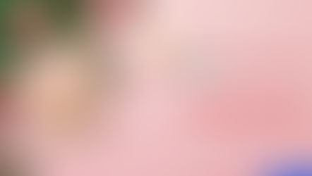 ไอเดีย กล่องน่ารัก ๆ จากไม้สน