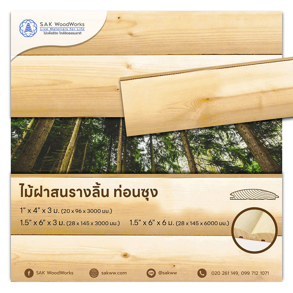 ไม้ฝา,ไม้ฝารางลิ้น,ไม้สน
