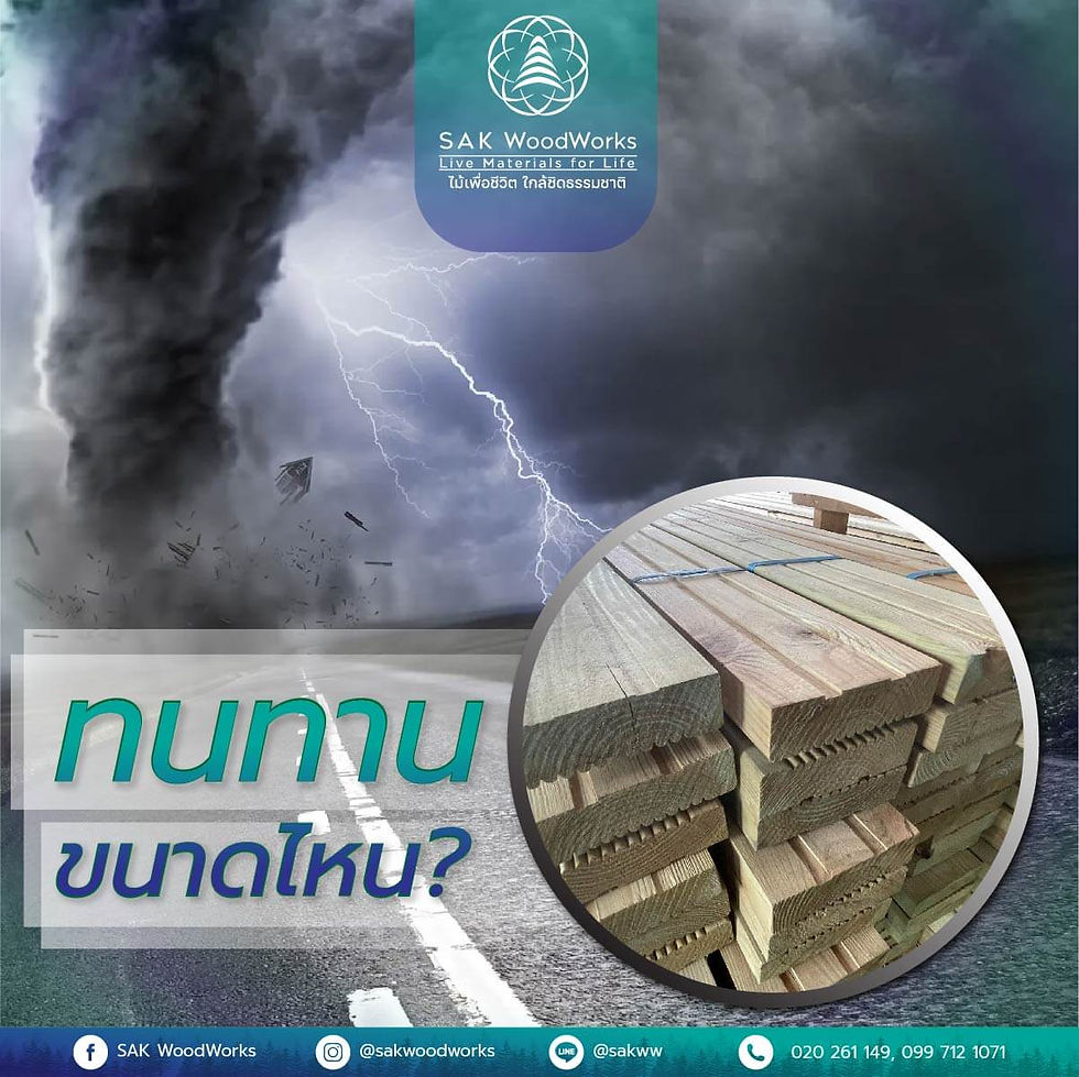 cca,ไม้สนอัดน้ำยา,ไม้สน,ไม้สนกันปลวก,ไม้สนทนแดด