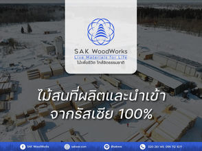 ไม้สนนำเข้า