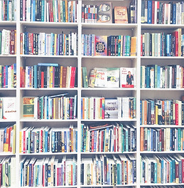 Library Shelves_edited.jpg