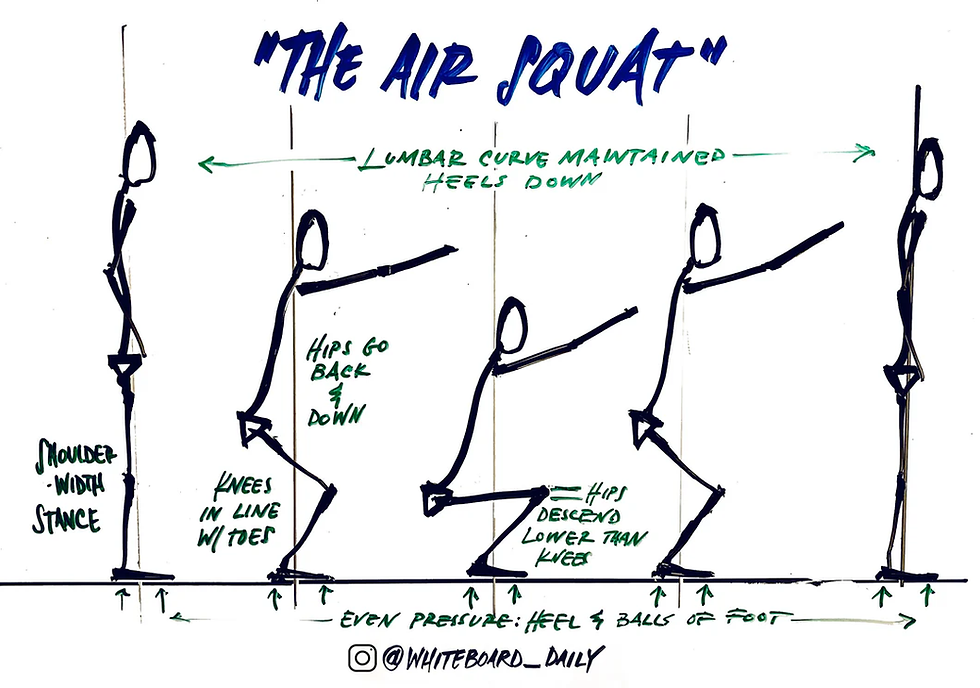 Squat mobility parte I: bases biomecánicas y estrategias de intervención para el rendimiento deportivo
