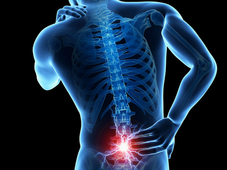 GUIA: Dolor lumbar en el entrenamiento PARTE II