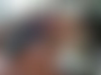 Statistiques des résultats de l'année scolaire 2024-2025 & Photos des activités de nos bibliothèques:entre jeux et lecture. 