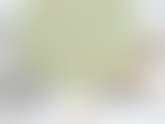 Nooit meer een kip zonder kop