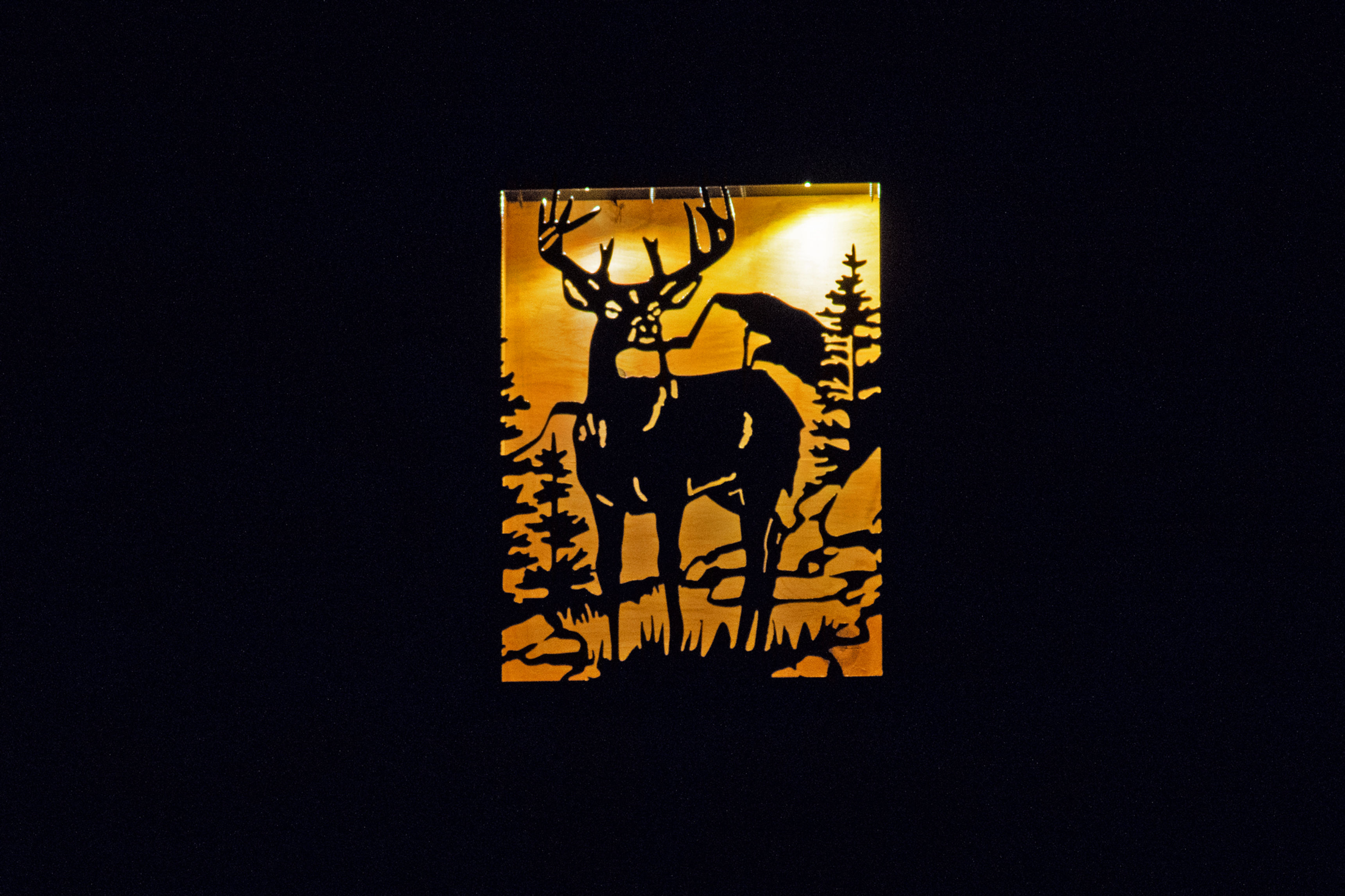 Buck- large solar light box 16" x 12"