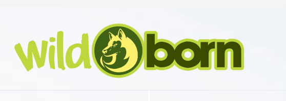 Bild 16.08.26 um 17.00.png