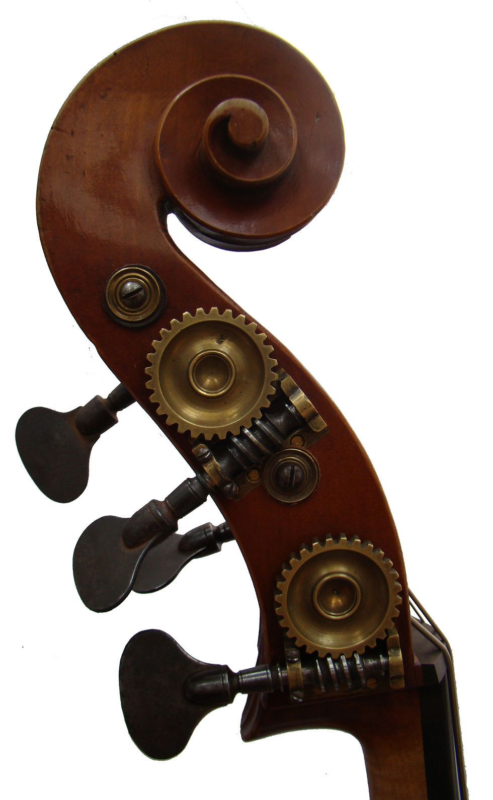 Brugère tête 1