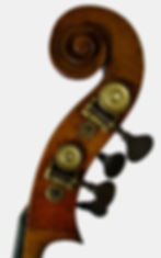 Tête_1_Thibouville_Médio_fino