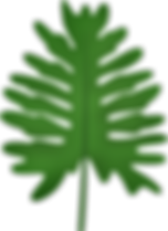 Zoo Clipart (8).png