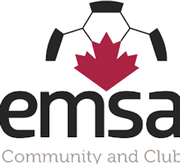 emsa.png