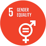 sdg5_edited.png