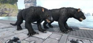 R-Thylacoleo (22k health/1587 melee) [PS PVE]