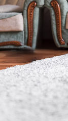 LAVADO DE TAPETES COYOACAN