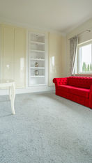 SERVICIO DE LAVADO DE ALFOMBRAS A DOMICILIO