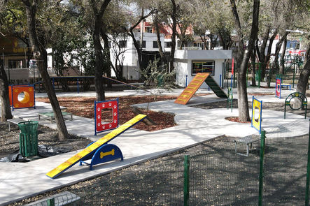 EQUIPO DE AGILITY PARA PERROS