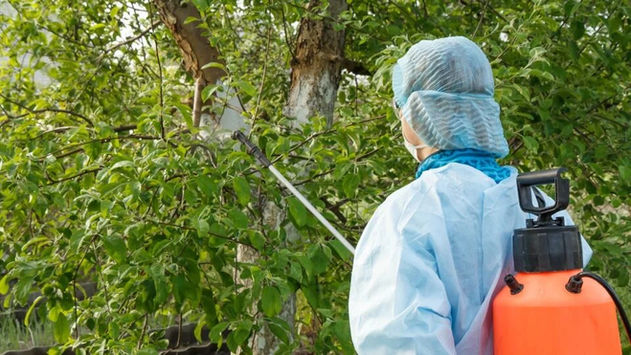 FUMIGACIONES BARATAS CDMX
