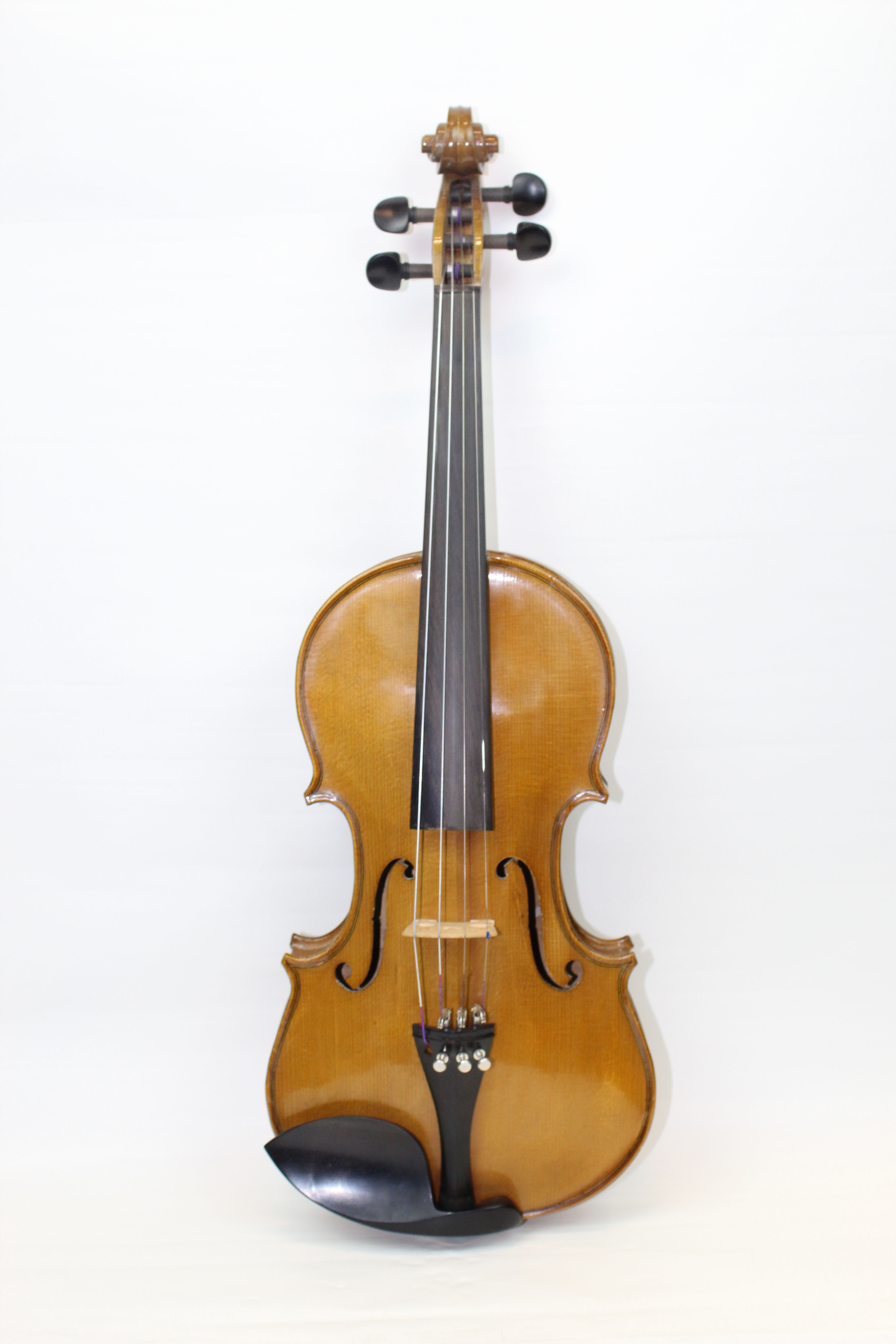 Violin RV-505BH
