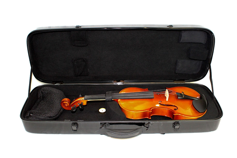 Miniature : Fibre Glass Violin Case Black