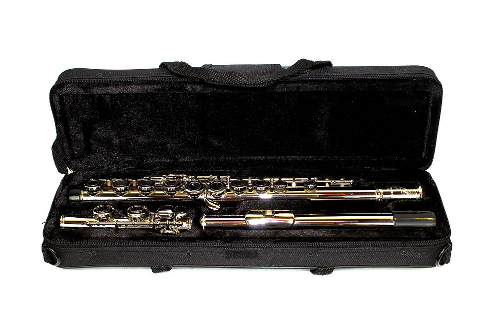 Miniature : Flute for School Band