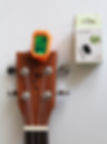 Guitarist Clip On Digital Tuner