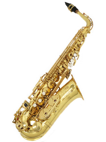 その他 yamasan  #74 file.jpg