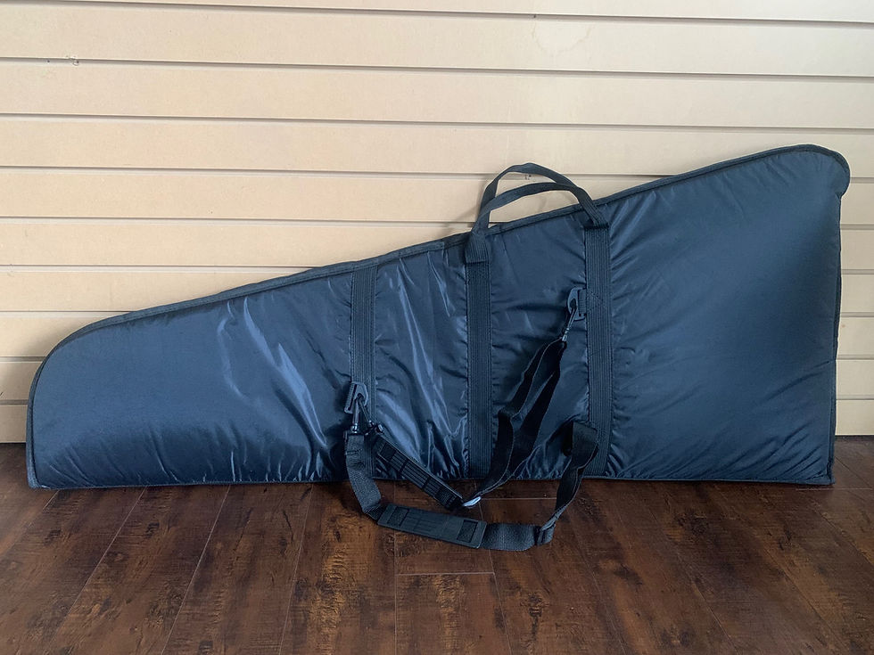 Miniature : ESP EF-90G Flying V Style Irregular Extreme Shaped Electric Guitar Padded Bag