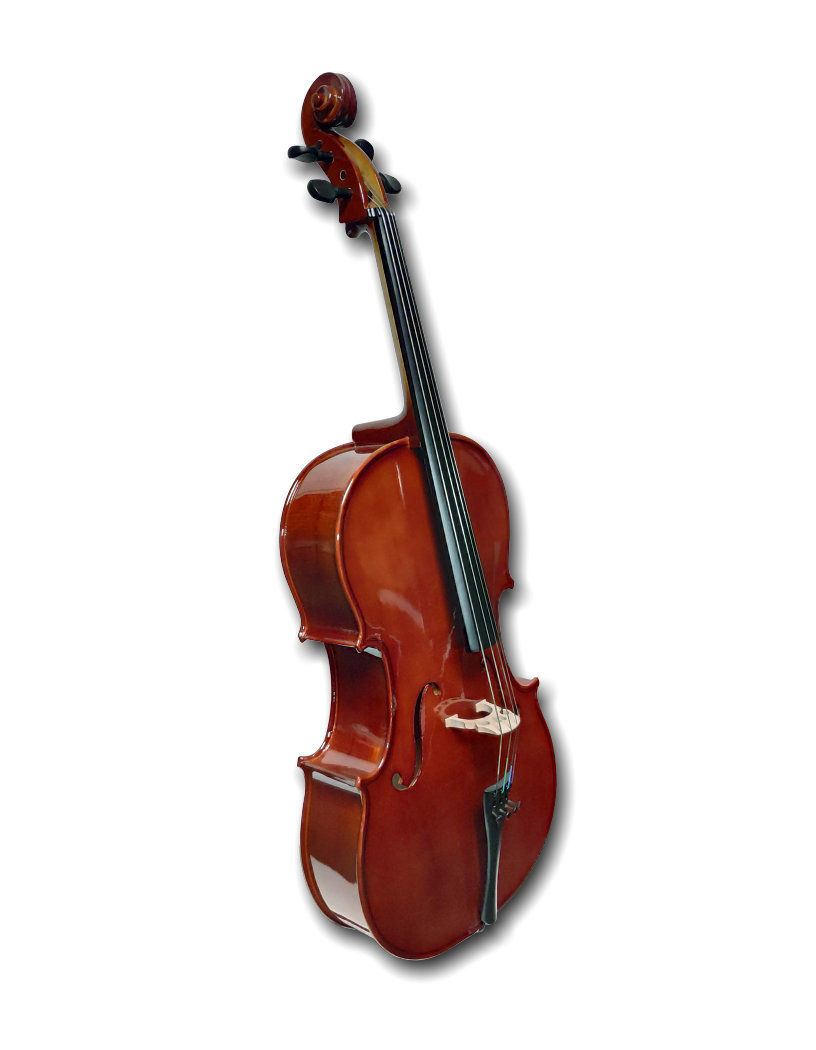 Miniature : 1/4 Cello RV-709