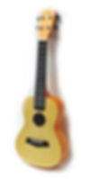 Andrew Concert Ukulele