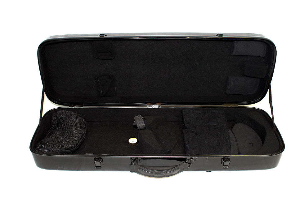 Miniature : Fibre Glass Violin Case Black