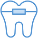 Ortho_002 (2).png