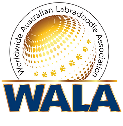 WALA Final Logo.webp